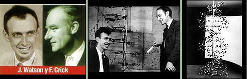 James Watson y Francis Crick