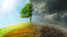 Timeline: Mod. 4 Social Issues Climate Change and Policy