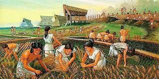 Descoberta de l'Agricultura