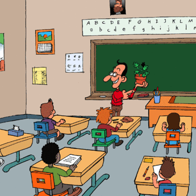 Timeline: reformas educativas