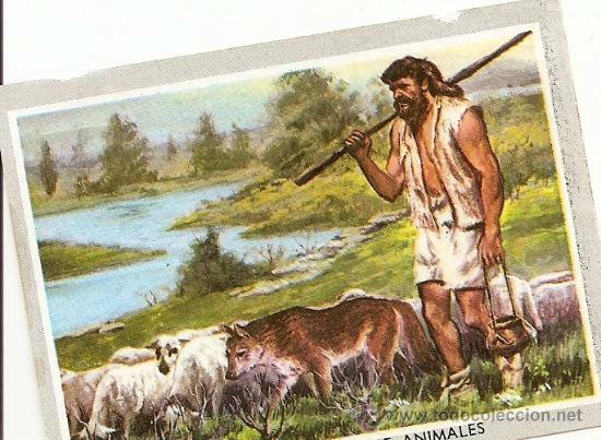 Domesticación de animales