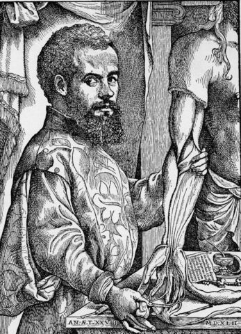 Andreas Vesalius