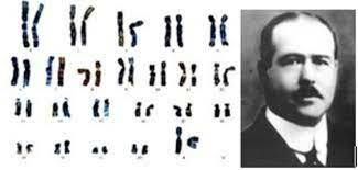 Factores hereditarios