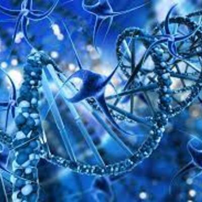 Timeline: LA HISTORIA Y LA EVOLUCION DE LA GENETICA