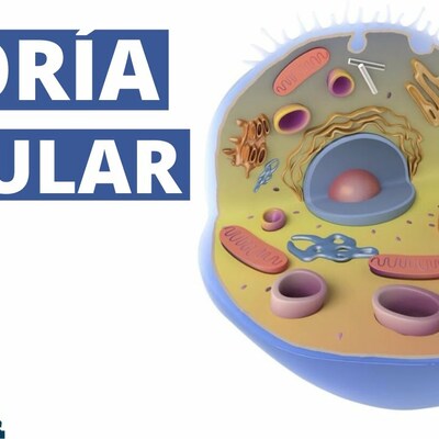 Timeline: La Teoria Celular