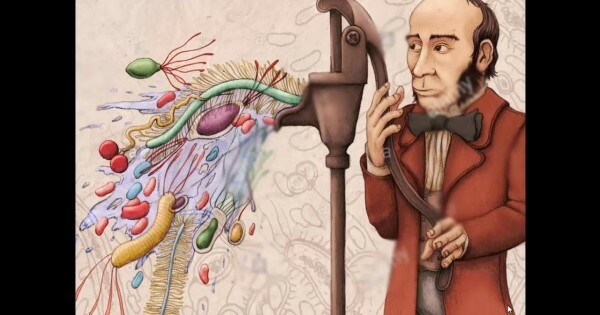 La Teoría del miasma