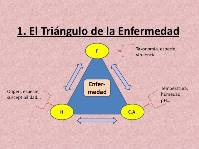 TAXONOMÍA DE LAS ENFERMEDADES