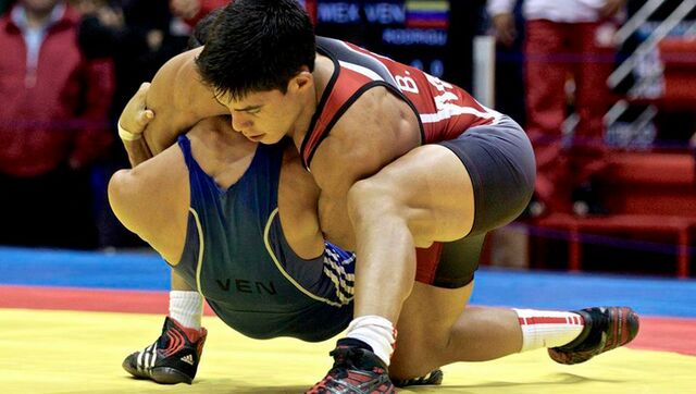 Federación Internacional de Luchas Asociadas