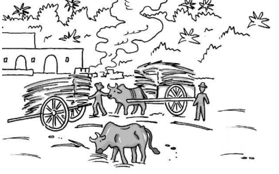 Reforma y porfiriato (1836–1910)