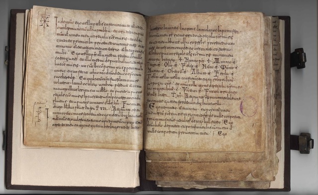 principio de procedencia