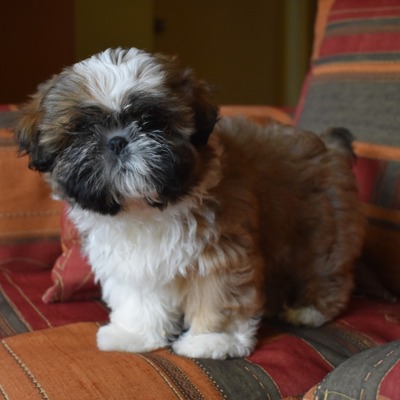 Timeline: La vida de Benito