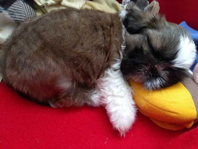 Nacimiento de Benito