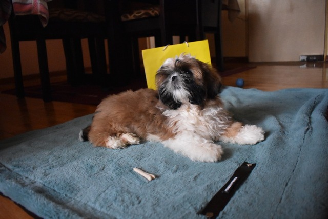 Benito tuvo su primera sesión de fotos
