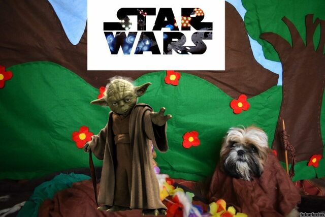 Benito participó en su primer concurso de disfraces