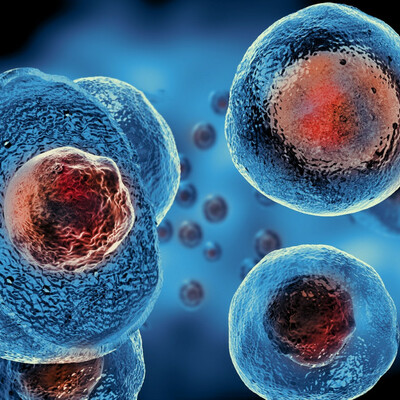 Timeline: Historia de la célula.