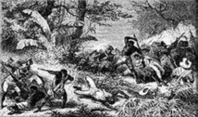 Slave revolt in South Carolina