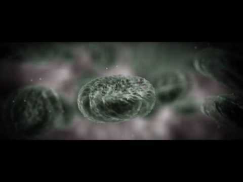 Primer avistamiento de células.