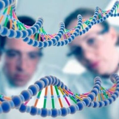 Timeline: Guía de Trabajo Biología Molecular N1 3MB Felipe Román Muñoz