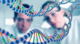 Timeline: Guía de Trabajo Biología Molecular N1 3MB Felipe Román Muñoz