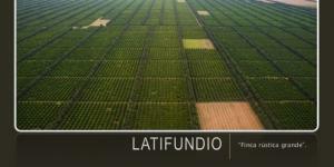 Grandes latifundios.