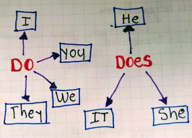 Present Simple Negative & Interrogative Form