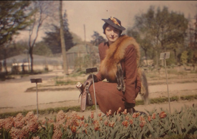 Placa autocroma (Autochrome Lumière)