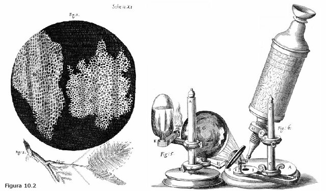 El inicio de la célula 'Robert Hooke'