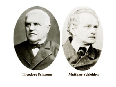 Reunión entre Schwann y Mathias Jakob Schleiden
