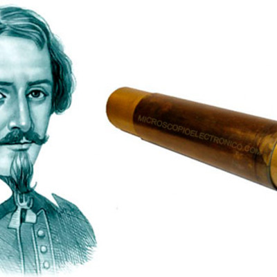 Timeline: Teoría celular