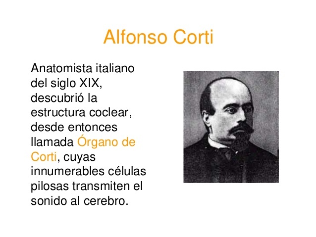 Alfonso Corti