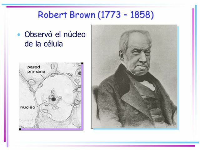 Robert Brown