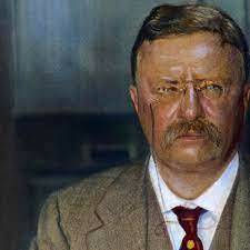 Theodore Roosevelt President