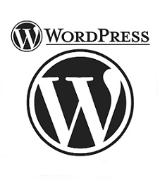 Se crea WordPress.