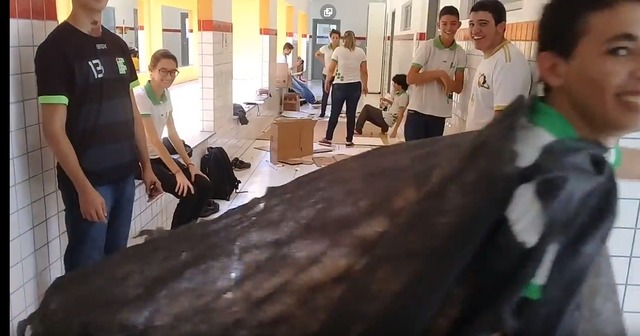 Producción de la pieza bioteatrum