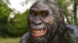 Timeline: Возникновение речи