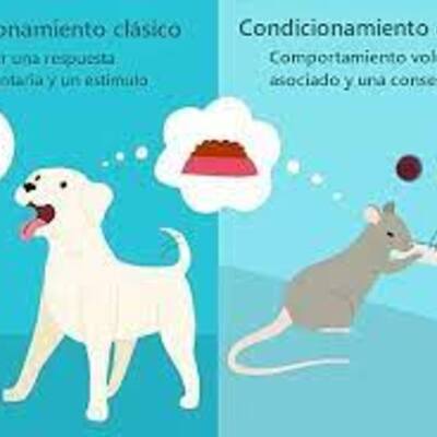 Timeline: Origen y evolución del condicionamiento clásico y condicionamiento operante