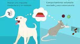 Timeline: Origen y evolución del condicionamiento clásico y condicionamiento operante
