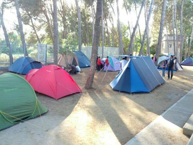 Acampada a l'escola!!