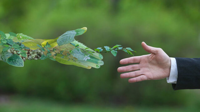 Conciencia Ecológica
