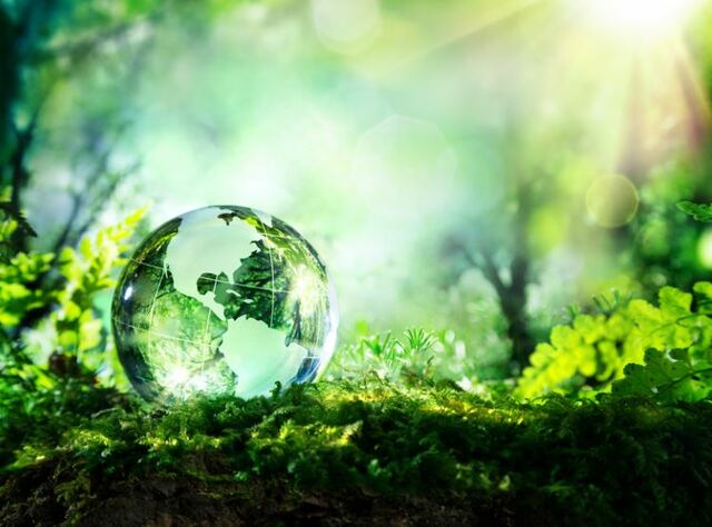 Programas Ambientales