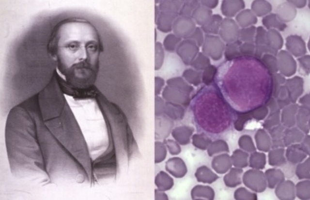 Ludolf Christian Treviranus