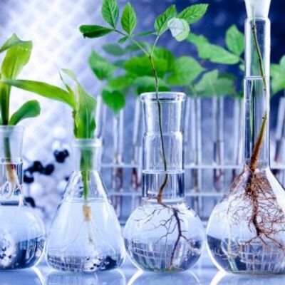 Timeline: Biotecnología a través del tiempo