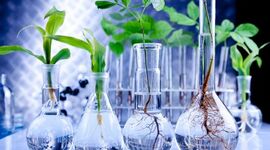 Timeline: Biotecnología a través del tiempo