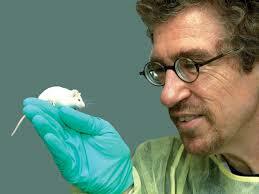 Crecen los debates éticos sobre la biotecnología