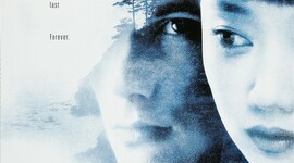 Timeline: SFC Timeline