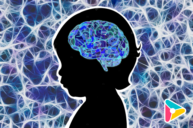 Plasticidad Cerebral