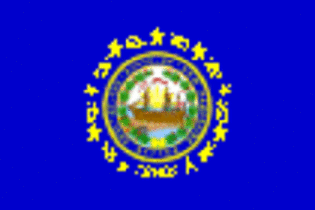 New Hampshire becomes a state