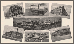 Crece el número de laboratorios