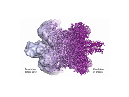 La criomicroscopia electrónica