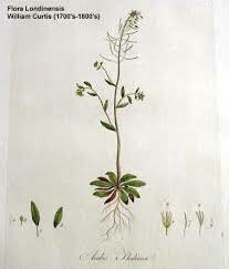 Secuencia del genoma